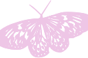 butterfly emote for Discord