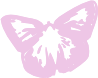 butterfly emote for Discord