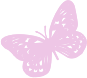 butterfly emote for Discord