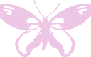 butterfly emote for Discord