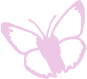 butterfly emote for Discord
