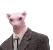 business_cat emote for Discord