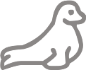 seal emote for Discord