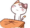 head_banging_cat emote for Discord