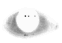Pronoia emote for Discord