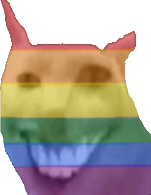 pride_cute_cat emote for Discord