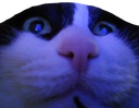 uh_oh emote for Discord