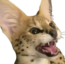 sogchamp emote for Discord