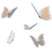 butterflies emote for Discord