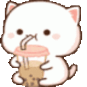 bobacat emote for Discord