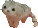 el_wiwi emote for Discord