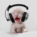 BabyCatJAM emote for Discord