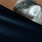 Cat_peek emote for Discord