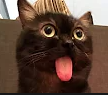 Mlem emote for Discord