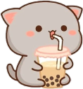 gray_bobacat emote for Discord