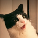 whatthefuck emote for Discord