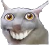 Cat_Looking emote for Discord