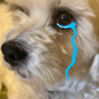 Dog_cry emote for Discord