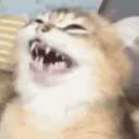 eugh emote for Discord