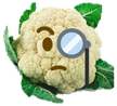 smartfiol emote for Discord