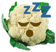 sleepfiol emote for Discord