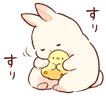 duck_bunny emote for Discord