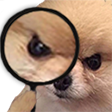 Z_Angrydog2 emote for Discord