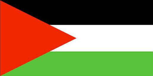 Palestine_Flag emote for Discord