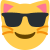 swag_cat emote for Discord
