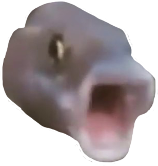 pogfish_remastered emote for Discord
