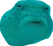 Sus_Fish emote for Discord
