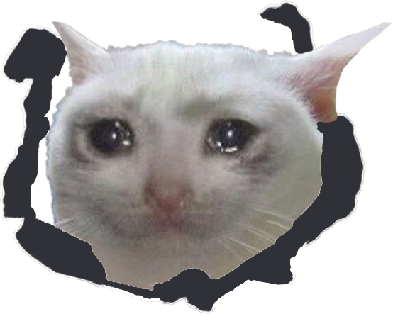 crying_cat emote for Discord