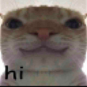 Cat_Hi emote for Discord