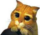 shrek_cat emote for Discord