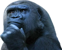 apeThink emote for Discord