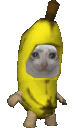 banana_cat emote for Discord