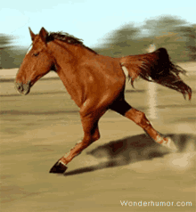 HORSE emote for Discord