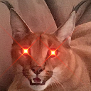 floppa_woke emote for Discord