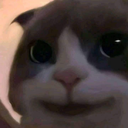 random_cat emote for Discord