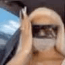 vibe4 emote for Discord