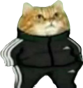 AdidasCat emote for Discord