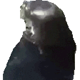 Seal emote for Discord
