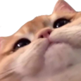 Pato emote for Discord