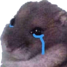 sadboi emote for Discord