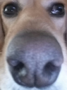 WAKEUP emote for Discord