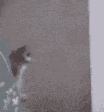 Cat_crawl_away emote for Discord