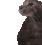 Cat_Depression emote for Discord