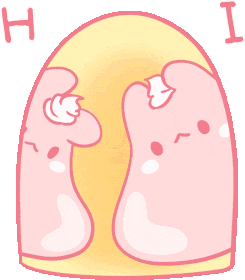 rabbit_hi emote for Discord