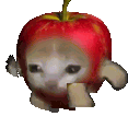Sad_Cat_Running emote for Discord