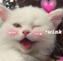 Cat_Wink emote for Discord